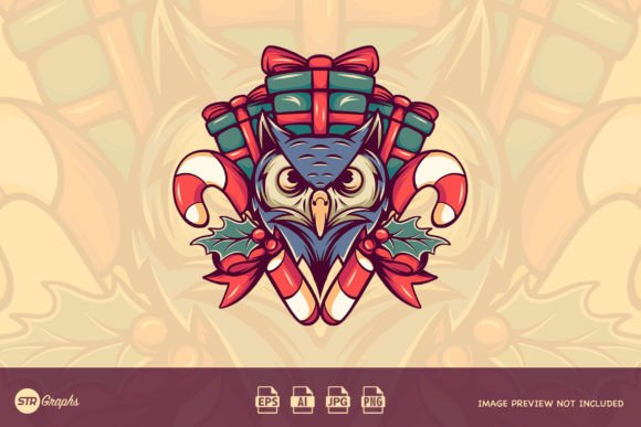 Christmas Owl and Gift Box Illustrations Review